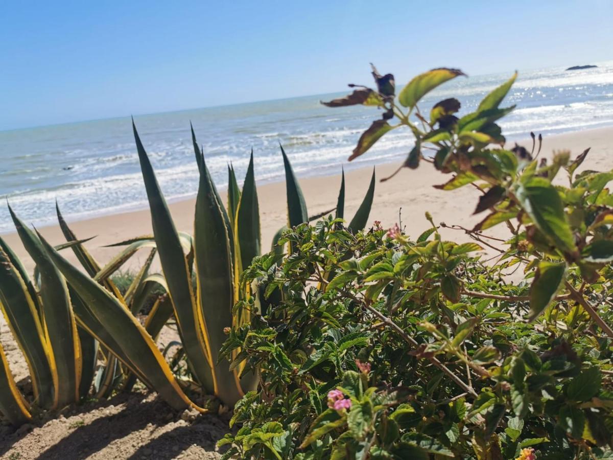 레알몬테 Giardino Sul Mare 아파트 외부 사진